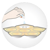 新生活集團(tuán)_新生活_新生活化妝品_溯妍時(shí)光_肌活_凍干精華液