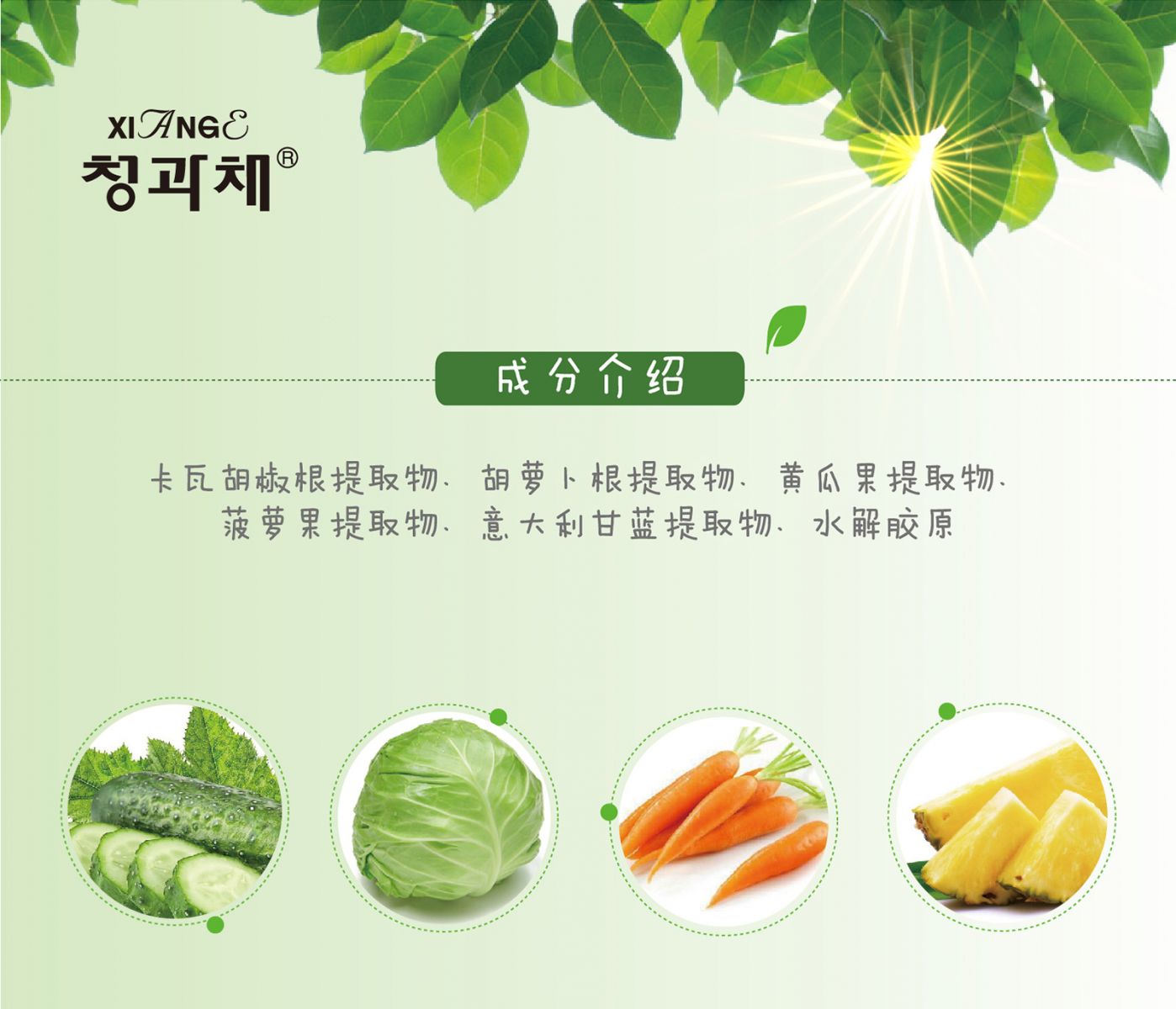 新生活_新生活集團_新生活化妝品_相娥_青果菜_舒韻精華液