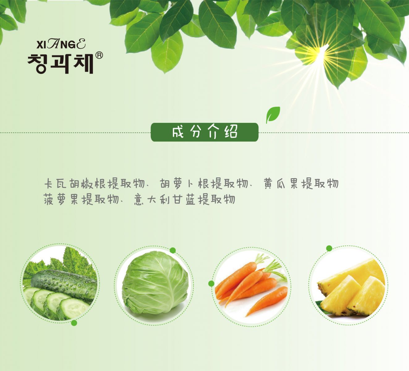 新生活_新生活集團(tuán)_新生活化妝品_相娥_青果菜_舒韻潤(rùn)膚水