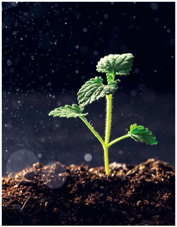 新生活_新生活集團_新生活化妝品_雪非雪_新顏