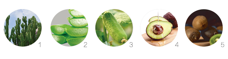 新生活_新生活集團_新生活化妝品_雪非雪_新顏