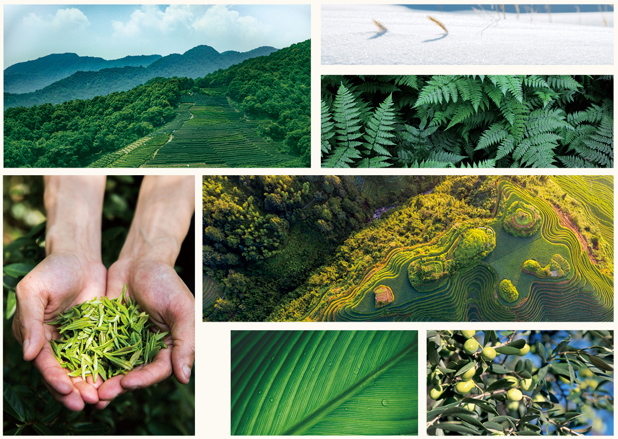 新生活_新生活集團_新生活化妝品_雪非雪_新顏